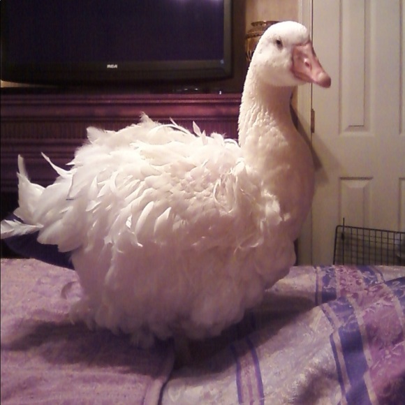 Welcome! - Picture 7 of 7